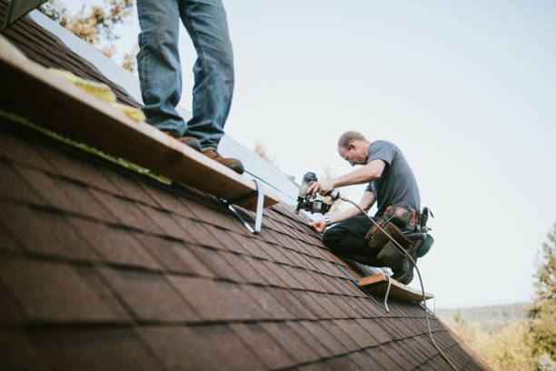 Quick and Trustworthy Emergency Roof Repair Services in Alameda, CA